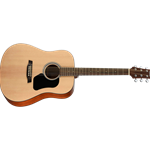 Walden D350 Dreadnought Acoustic Guitar