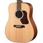 Walden D550E Dreadnought Acoustic-Electric Guitar