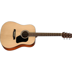 Walden D450 Dreadnought Solid Top Acoustic Guitar