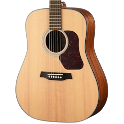 Walden D550E Dreadnought Acoustic-Electric Guitar